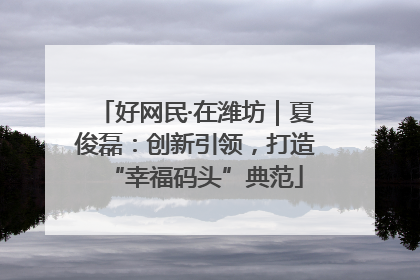 好网民·在潍坊｜夏俊磊：创新引领，打造“幸福码头”典范