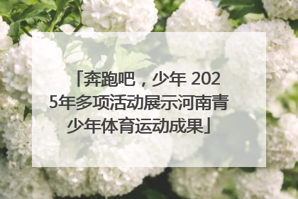奔跑吧，少年 2025年多项活动展示河南青少年体育运动成果