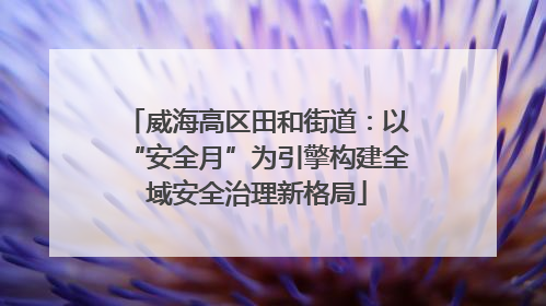 威海高区田和街道：以“安全月”为引擎构建全域安全治理新格局