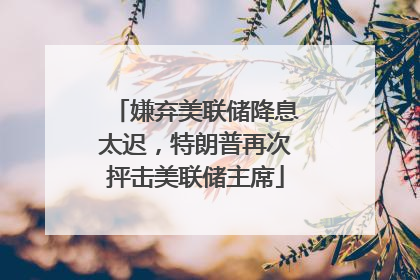 嫌弃美联储降息太迟，特朗普再次抨击美联储主席