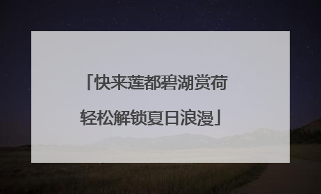 快来莲都碧湖赏荷 轻松解锁夏日浪漫