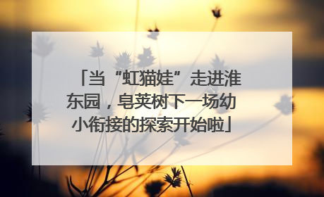 当“虹猫娃”走进淮东园，皂荚树下一场幼小衔接的探索开始啦