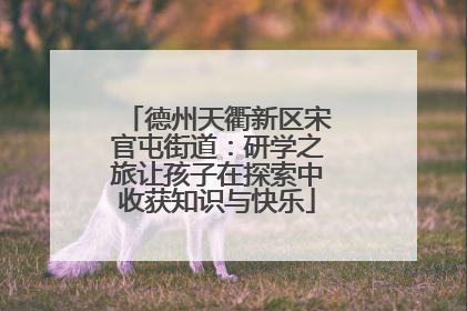 德州天衢新区宋官屯街道：研学之旅让孩子在探索中收获知识与快乐