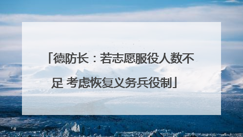 德防长：若志愿服役人数不足 考虑恢复义务兵役制