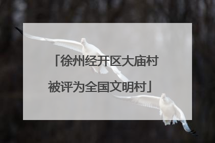 徐州经开区大庙村被评为全国文明村