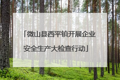 微山县西平镇开展企业安全生产大检查行动