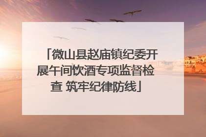 微山县赵庙镇纪委开展午间饮酒专项监督检查 筑牢纪律防线