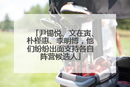 尹锡悦、文在寅、朴槿惠、李明博，他们纷纷出面支持各自阵营候选人
