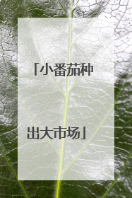 小番茄种出大市场
