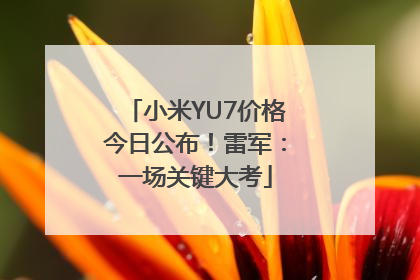 小米YU7价格今日公布！雷军：一场关键大考