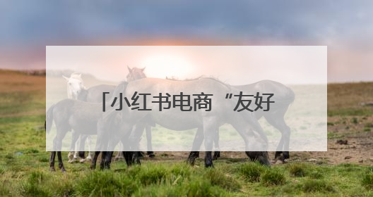 小红书电商“友好市集”上线，6月将举办“开业活动”
