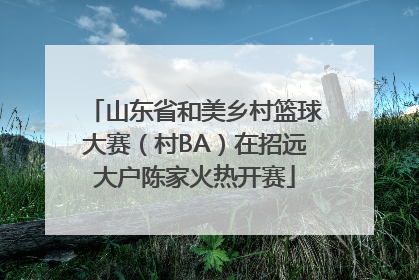 山东省和美乡村篮球大赛（村BA）在招远大户陈家火热开赛