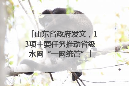山东省政府发文，13项主要任务推动省级水网“一网统管”