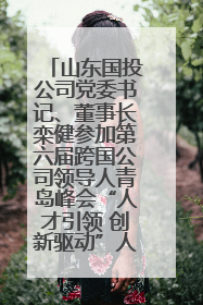 山东国投公司党委书记、董事长栾健参加第六届跨国公司领导人青岛峰会“人才引领 创新驱动”人力资源高质量发展对话会