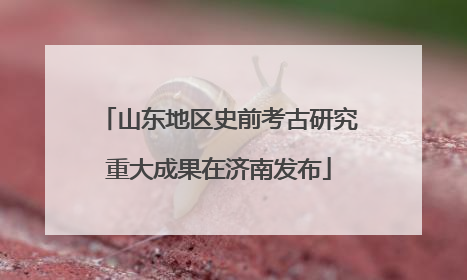 山东地区史前考古研究重大成果在济南发布