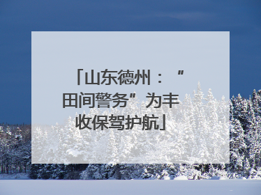 山东德州：“田间警务”为丰收保驾护航