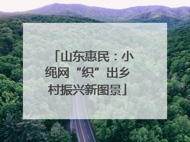 山东惠民：小绳网“织”出乡村振兴新图景