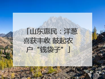 山东惠民：洋葱喜获丰收 鼓起农户“钱袋子”