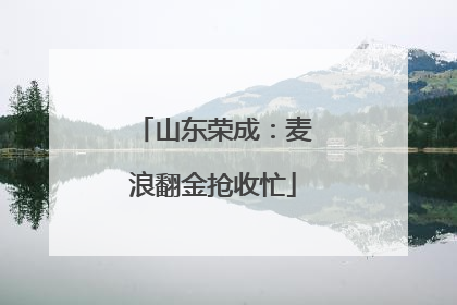 山东荣成：麦浪翻金抢收忙
