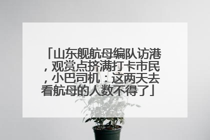 山东舰航母编队访港，观赏点挤满打卡市民，小巴司机：这两天去看航母的人数不得了