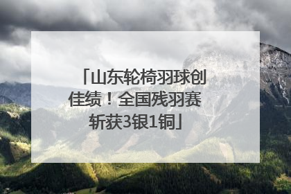 山东轮椅羽球创佳绩！全国残羽赛斩获3银1铜