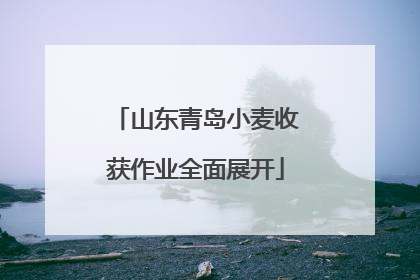 山东青岛小麦收获作业全面展开