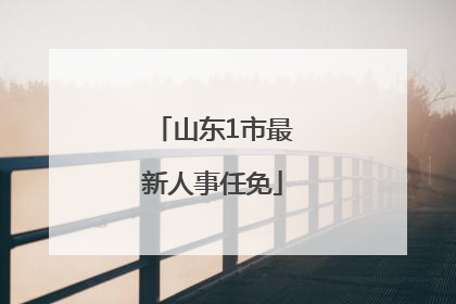 山东1市最新人事任免