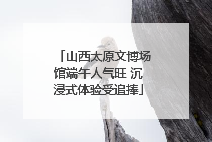 山西太原文博场馆端午人气旺 沉浸式体验受追捧