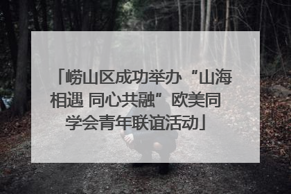 崂山区成功举办“山海相遇 同心共融”欧美同学会青年联谊活动