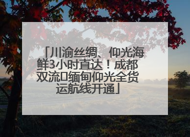 川渝丝绸、仰光海鲜3小时直达！成都双流⇌缅甸仰光全货运航线开通