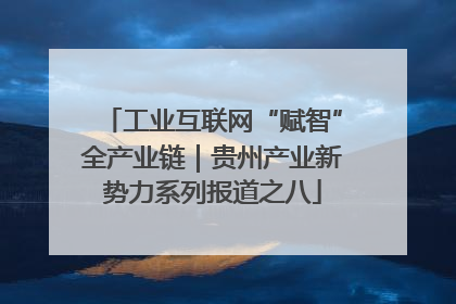 工业互联网“赋智”全产业链｜贵州产业新势力系列报道之八