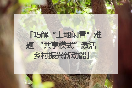 巧解“土地闲置”难题 “共享模式”激活乡村振兴新动能