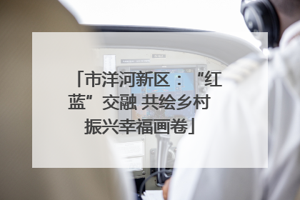市洋河新区：“红蓝”交融 共绘乡村振兴幸福画卷