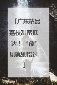 广东精品荔枝甜蜜抵达！“豫”见就别错过