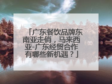 广东餐饮品牌东南亚走俏，马来西亚-广东经贸合作有哪些新机遇？