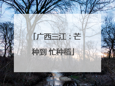 广西三江：芒种到 忙种稻
