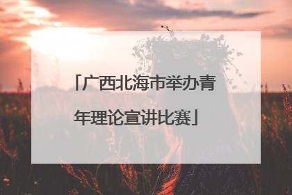 广西北海市举办青年理论宣讲比赛