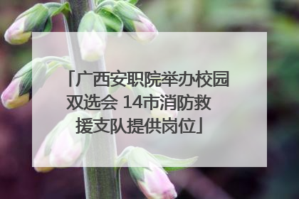 广西安职院举办校园双选会 14市消防救援支队提供岗位