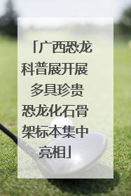 广西恐龙科普展开展 多具珍贵恐龙化石骨架标本集中亮相