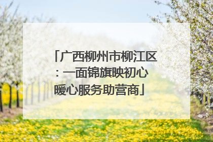 广西柳州市柳江区：一面锦旗映初心 暖心服务助营商