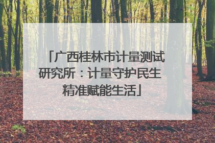 广西桂林市计量测试研究所：计量守护民生 精准赋能生活