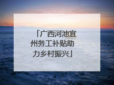 广西河池宜州务工补贴助力乡村振兴