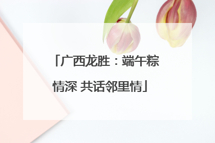 广西龙胜：端午粽情深 共话邻里情