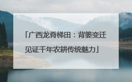 广西龙脊梯田：背篓变迁见证千年农耕传统魅力