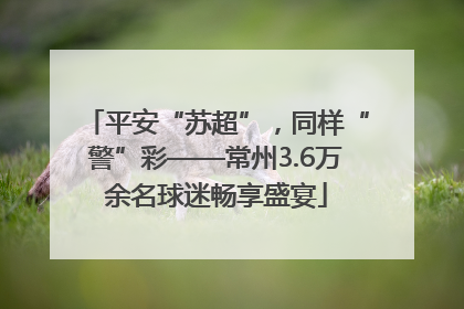 平安“苏超”，同样“警”彩——常州3.6万余名球迷畅享盛宴