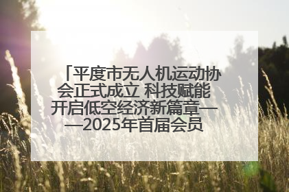平度市无人机运动协会正式成立 科技赋能开启低空经济新篇章——2025年首届会员大会暨无人机应用发展论坛成功举办