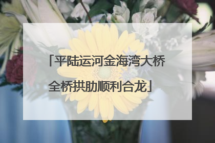 平陆运河金海湾大桥全桥拱肋顺利合龙