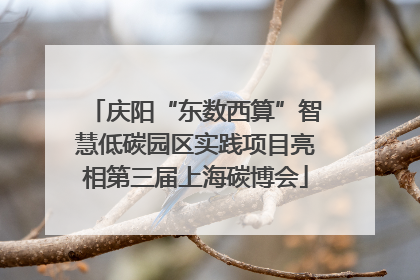 庆阳“东数西算”智慧低碳园区实践项目亮相第三届上海碳博会