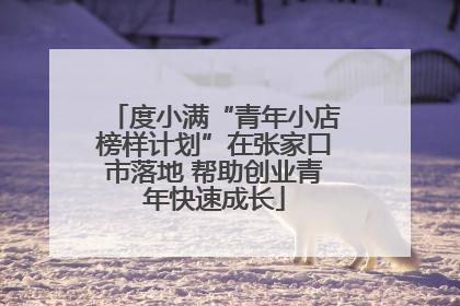度小满“青年小店榜样计划”在张家口市落地 帮助创业青年快速成长