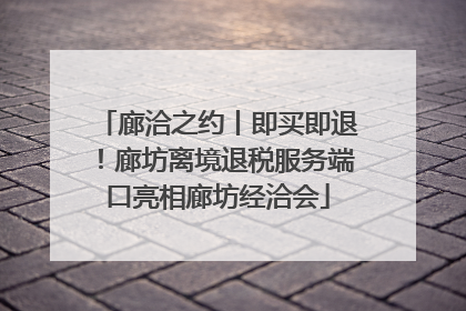 廊洽之约丨即买即退！廊坊离境退税服务端口亮相廊坊经洽会